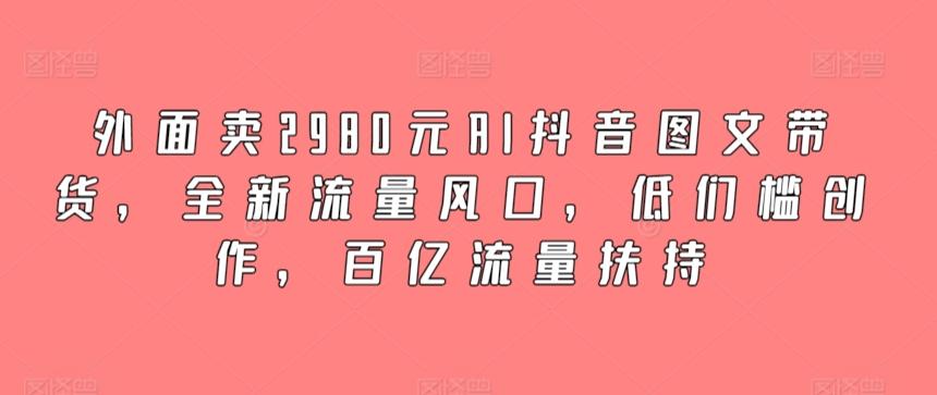 外面卖2980元AI抖音图文带货，全新流量风口，低们槛创作，百亿流量扶持 - 小毅网创-小毅网创