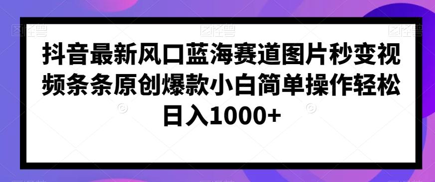 抖音最新风口蓝海赛道图片秒变视频条条原创爆款小白简单操作轻松日入1000+ - 小毅网创-小毅网创