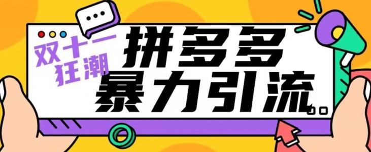 【首发】双十一拼多多暴力引流，日引300+微信 - 小毅网创-小毅网创