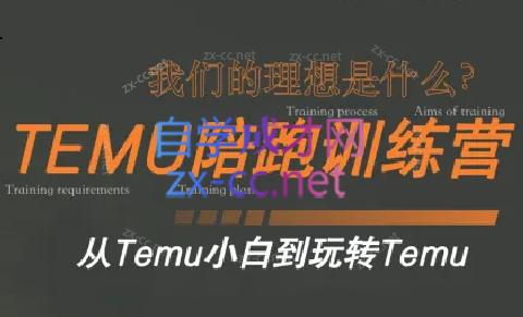 苗苗·拼多多跨境（temu）课程 - 小毅网创-小毅网创