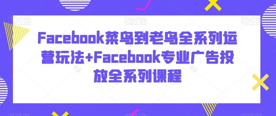 Facebook菜鸟到老鸟全系列运营玩法+Facebook专业广告投放全系列课程 - 小毅网创-小毅网创