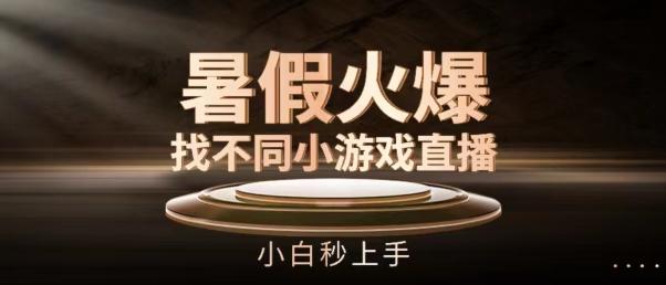 暑假火爆找不同小游戏直播间，小白秒上手【揭秘】 - 小毅网创-小毅网创