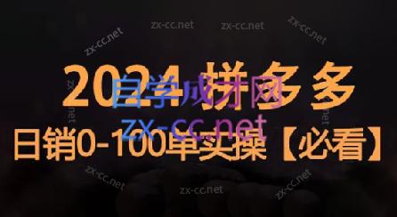 恒哥·2024拼多多日销0-100单实操 - 小毅网创-小毅网创