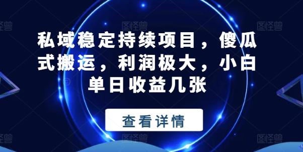 私域稳定持续项目，傻瓜式搬运，利润极大，小白单日收益几张【揭秘】 - 小毅网创-小毅网创