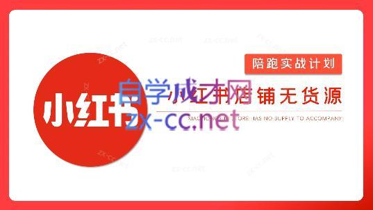 安琪·小红书店铺无货源 - 小毅网创-小毅网创
