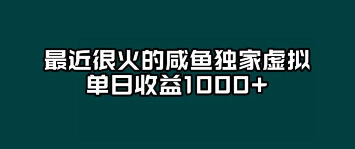 最近很火的咸鱼独家虚拟，单日收益1000+ - 小毅网创-小毅网创