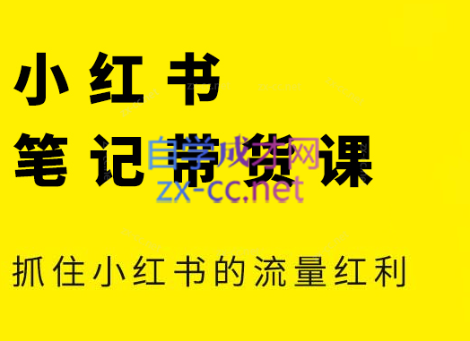 张宾·小红书笔记带货课(更新24年7月) - 小毅网创-小毅网创