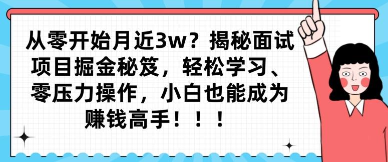 从零开始月近3w？揭秘面试项目掘金秘笈，轻松学习、零压力操作，小白也能成为赚钱高手 - 小毅网创-小毅网创