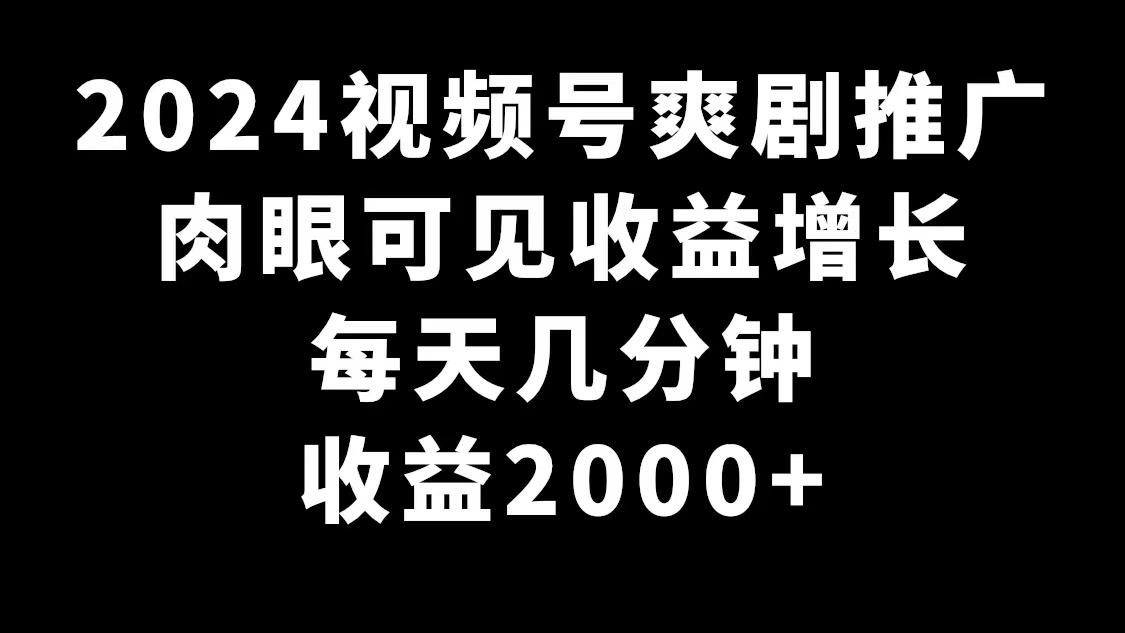 2024视频号爽剧推广，肉眼可见的收益增长，每天几分钟收益2000+ - 小毅网创-小毅网创