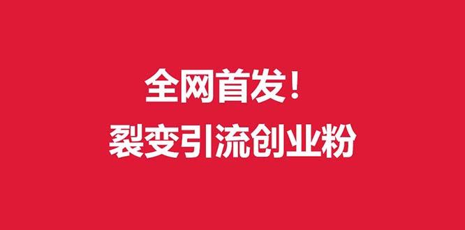 (全网首发)外面收费几千的裂变引流高质量创业粉 - 小毅网创-小毅网创