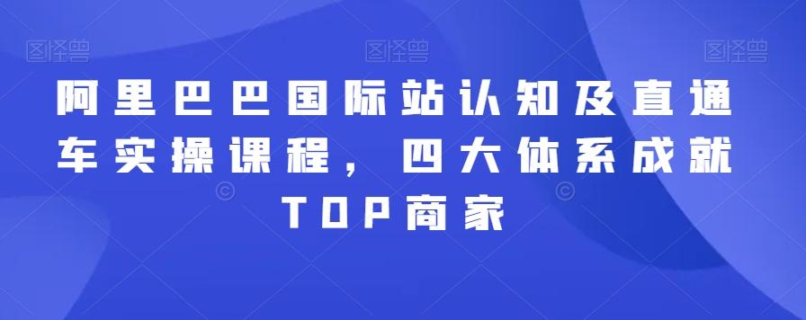 阿里巴巴国际站认知及直通车实操课程，四大体系成就TOP商家 - 小毅网创-小毅网创