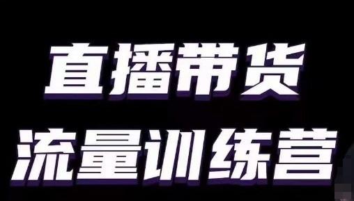 直播带货流量训练营，小白主播必学直播课 - 小毅网创-小毅网创