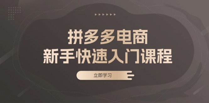 拼多多电商新手快速入门课程：涵盖基础、实战与选款，助力小白轻松上手 - 小毅网创-小毅网创