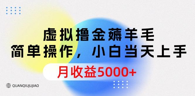 (9864期)虚拟撸金薅羊毛，简单操作，小白当天上手，月收益5000+ - 小毅网创-小毅网创