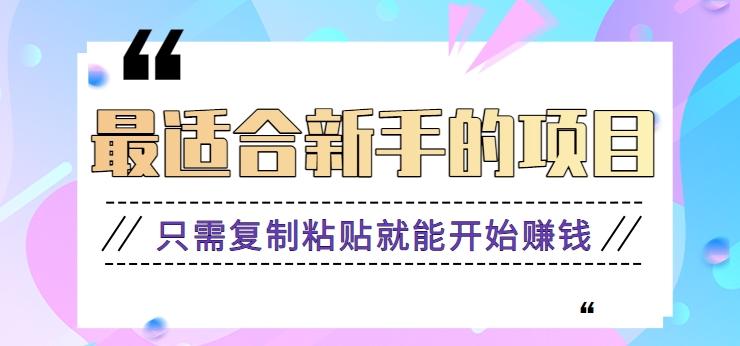 2024最适合新手操作的项目，新手小白只需复制粘贴就能开始赚钱【视频教程+软件】 - 小毅网创-小毅网创