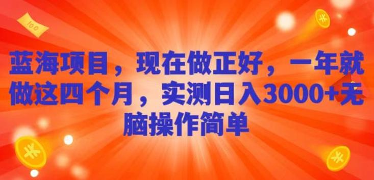 蓝海项目，现在做正好，一年就做这4个月，实测日入3000+，无脑简单操作 - 小毅网创-小毅网创