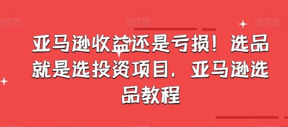 亚马逊收益还是亏损！选品就是选投资项目，亚马逊选品教程 - 小毅网创-小毅网创