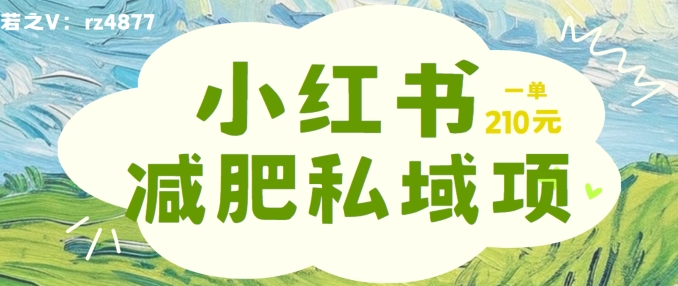 小红书减肥粉，私域变现项目，一单就达210元，小白也能轻松上手【揭秘】 - 小毅网创-小毅网创