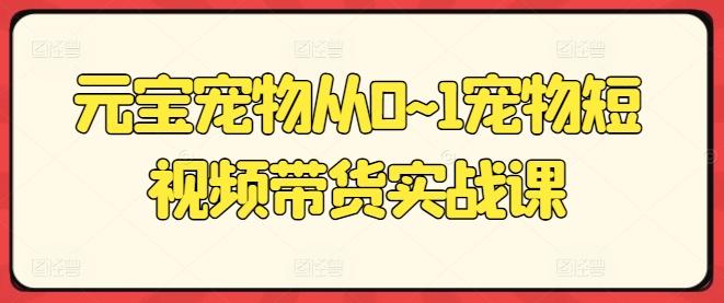 元宝宠物从0~1宠物短视频带货实战课 - 小毅网创-小毅网创