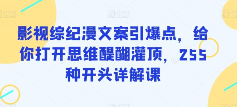 影视综纪漫文案引爆点，给你打开思维醍醐灌顶，255种开头详解课 - 小毅网创-小毅网创