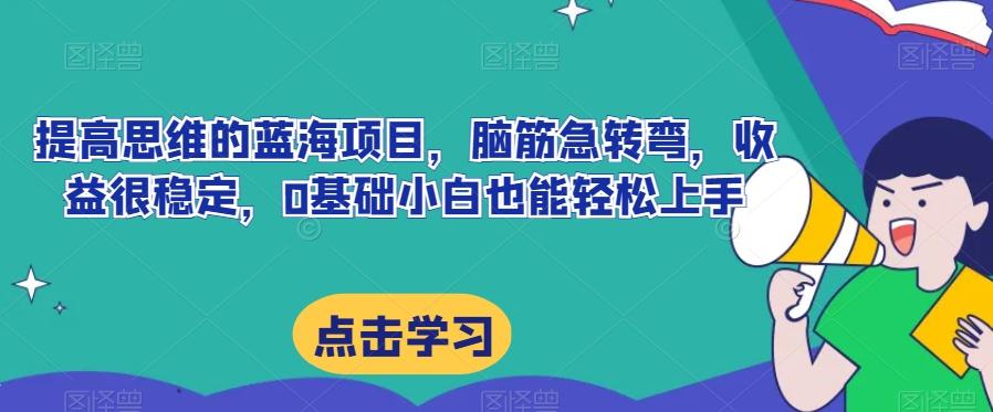 提高思维的蓝海项目，脑筋急转弯，收益很稳定，0基础小白也能轻松上手 - 小毅网创-小毅网创