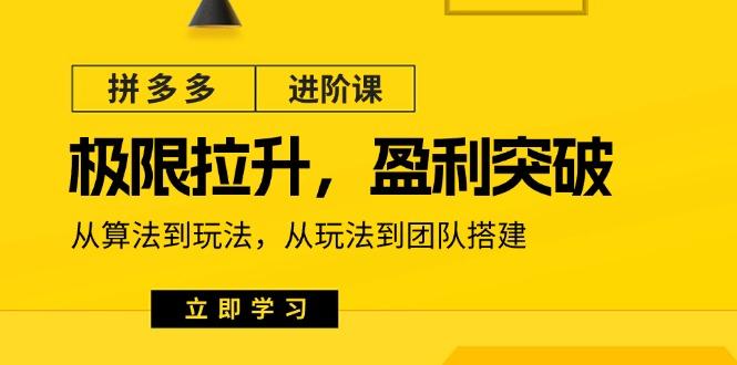 拼多多·进阶课：极限拉升/盈利突破：从算法到玩法 从玩法到团队搭建-18节 - 小毅网创-小毅网创
