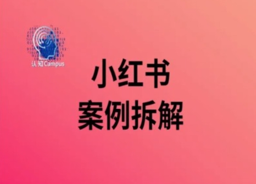 小红书案例拆解，深度解读小红书40万粉 - 小毅网创-小毅网创