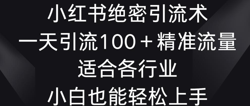 小红书绝密引流术，一天引流100+精准流量，适合各个行业，小白也能轻松上手【揭秘】 - 小毅网创-小毅网创