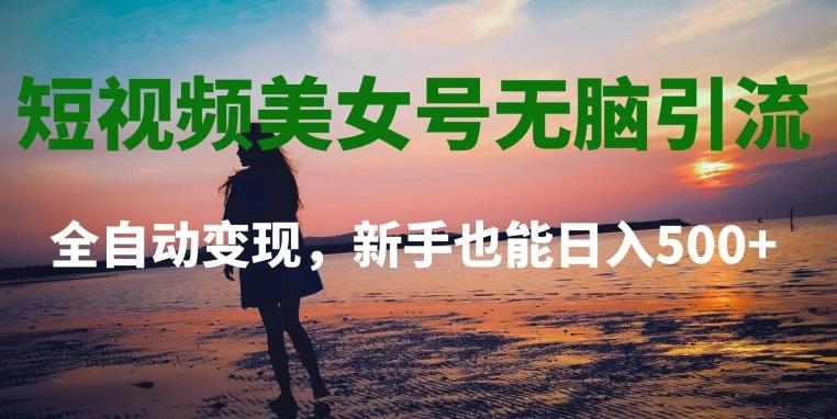 短视频美女号无脑引流，全自动变现，新手也能日入500+ - 小毅网创-小毅网创