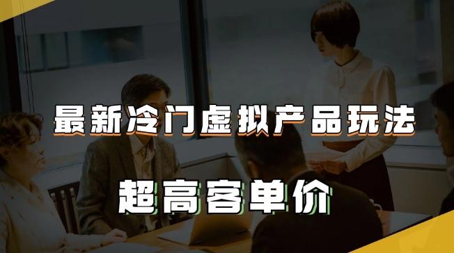 最新冷门虚拟产品玩法，超高客单价，月入2-3万＋【揭秘】 - 小毅网创-小毅网创