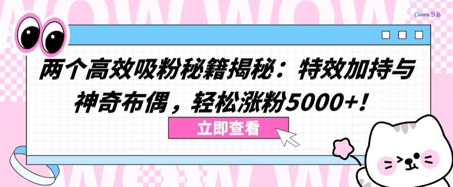 两个高效吸粉秘籍揭秘：特效加持与神奇布偶，轻松涨粉5000+【揭秘】 - 小毅网创-小毅网创