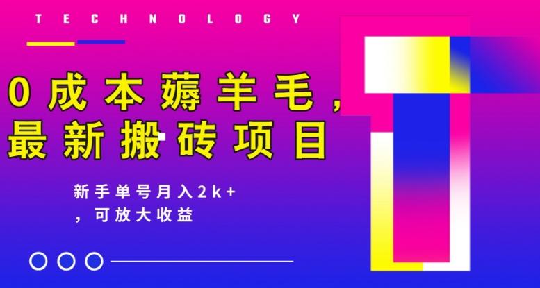 0成本薅羊毛，最新搬砖项目，新手单号月入2k+，可放大操作 - 小毅网创-小毅网创