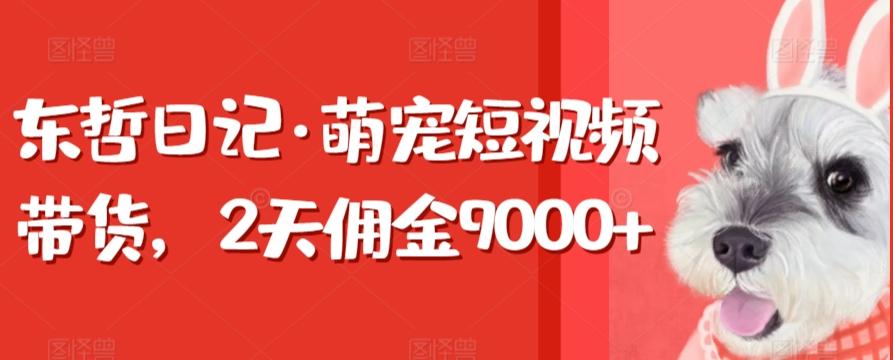 东哲日记·萌宠短视频带货，2天佣金9000+ - 小毅网创-小毅网创