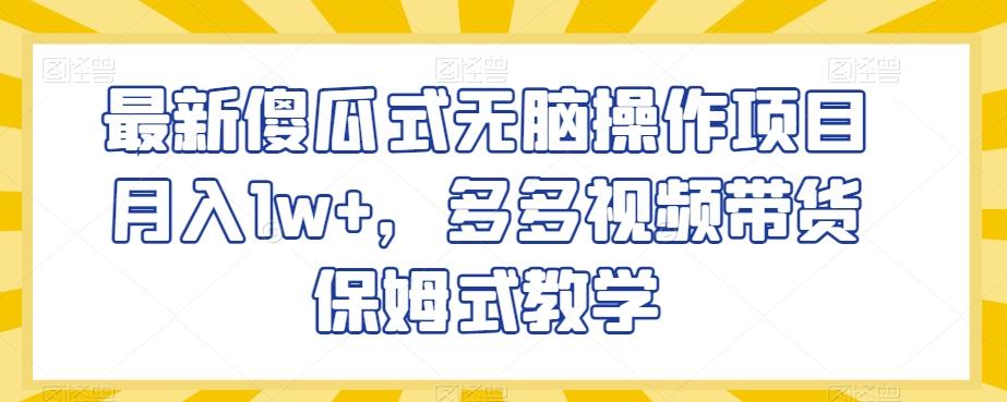 最新傻瓜式无脑操作项目月入1w+，多多视频带货保姆式教学【揭秘】 - 小毅网创-小毅网创