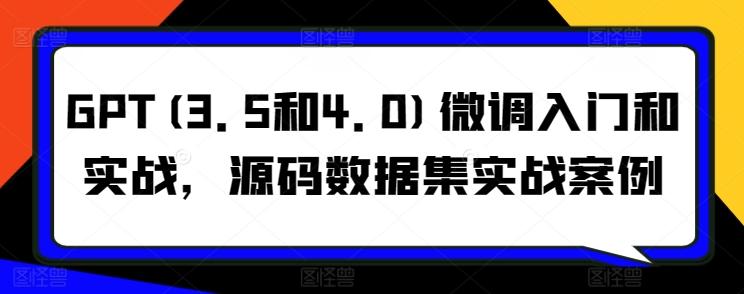 GPT(3.5和4.0)微调入门和实战，源码数据集实战案例 - 小毅网创-小毅网创