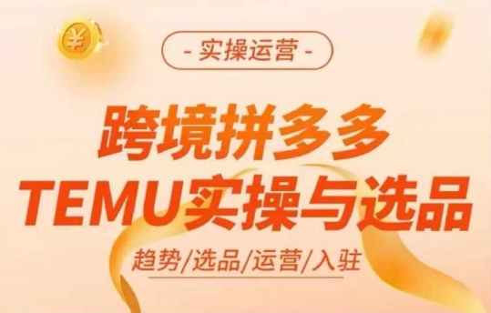 跨境拼多多TEMU实操与选品，多多temu跨境选品运营实操 - 小毅网创-小毅网创