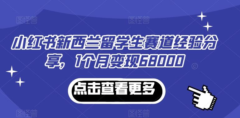 小红书新西兰留学生赛道经验分享，1个月变现68000【揭秘】 - 小毅网创-小毅网创