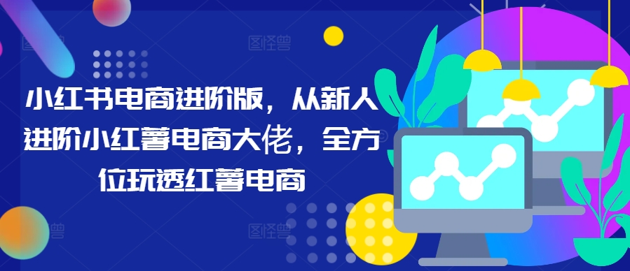 小红书电商进阶版，从新人进阶小红薯电商大佬，全方位玩透红薯电商 - 小毅网创-小毅网创