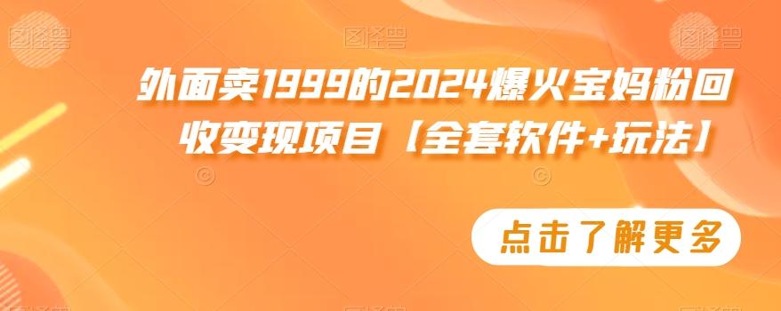 外面卖1999的2024爆火宝妈粉回收变现项目【全套软件+玩法】【揭秘】 - 小毅网创-小毅网创