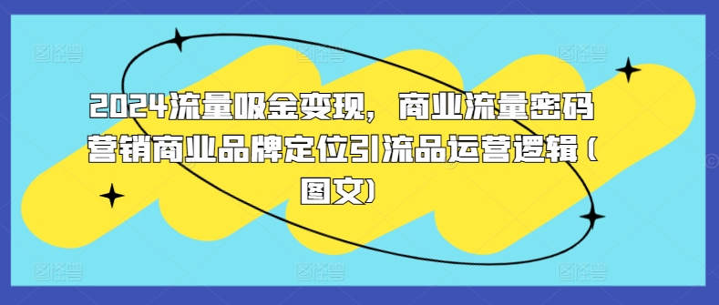 2024流量吸金变现，商业流量密码营销商业品牌定位引流品运营逻辑(图文) - 小毅网创-小毅网创
