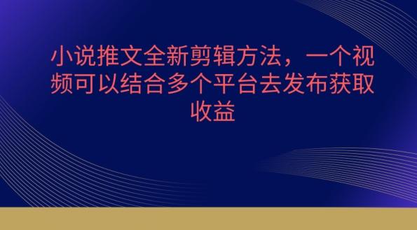 小说推文全新剪辑方法，一个视频可以结合多个平台去发布获取【揭秘】 - 小毅网创-小毅网创