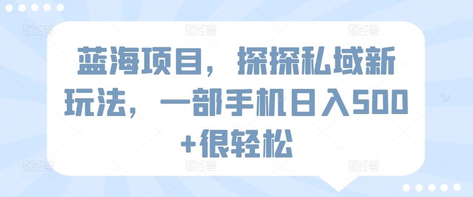 蓝海项目，探探私域新玩法，一部手机日入500+很轻松【揭秘】 - 小毅网创-小毅网创