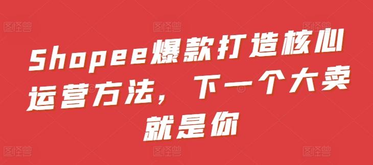 Shopee爆款打造核心运营方法，下一个大卖就是你 - 小毅网创-小毅网创