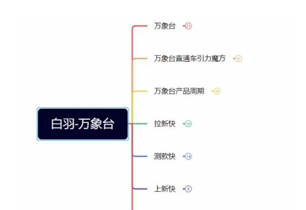 白羽·直引万搜索全篇，从0-1，多个类目实操经验总结付费 - 小毅网创-小毅网创