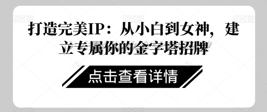 打造完美IP：从小白到女神，建立专属你的金字塔招牌 - 小毅网创-小毅网创