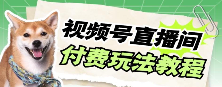视频号美女付费无人直播，轻松日入500+【详细玩法教程】 - 小毅网创-小毅网创