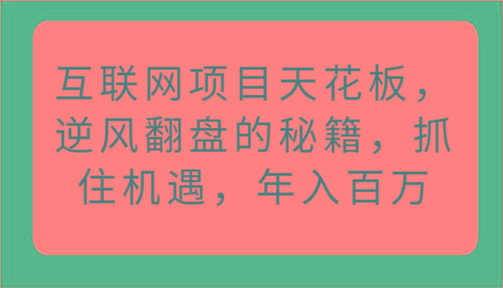 互联网项目天花板，逆风翻盘的秘籍，抓住机遇，年入百万 - 小毅网创-小毅网创