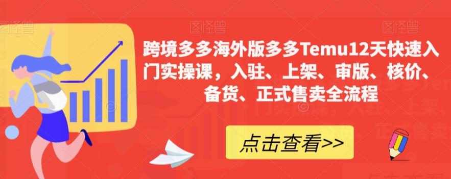 跨境多多海外版多多Temu12天快速入门实操课，入驻、上架、审版、核价、备货、正式售卖全流程 - 小毅网创-小毅网创