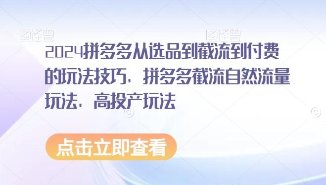 2024拼多多从选品到截流到付费的玩法技巧，拼多多截流自然流量玩法，高投产玩法 - 小毅网创-小毅网创