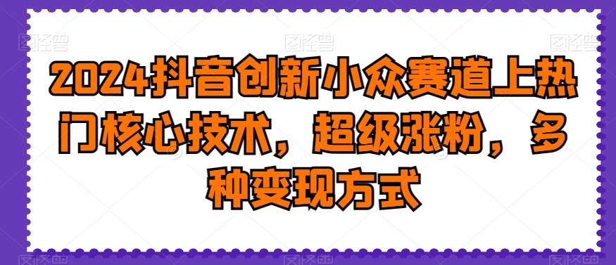 2024抖音创新小众赛道上热门核心技术，超级涨粉，多种变现方式【揭秘】 - 小毅网创-小毅网创